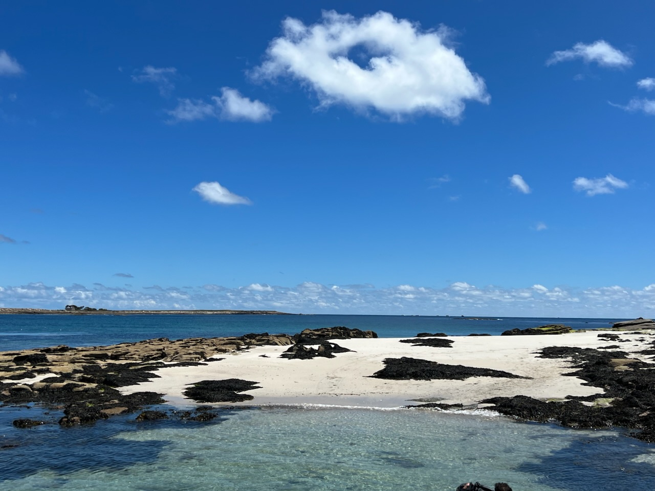 Expérience Robinson 2