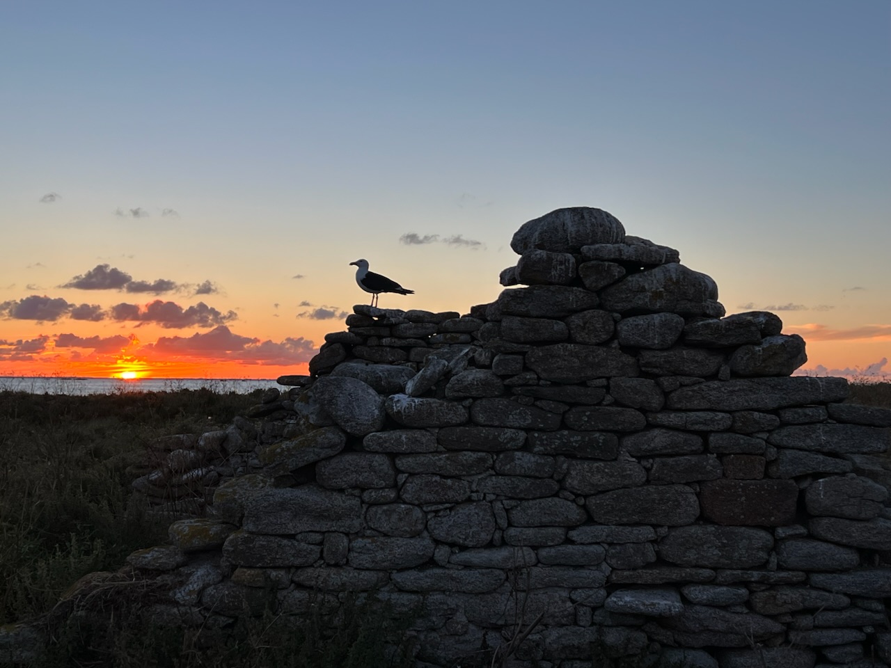 Nature Glénan