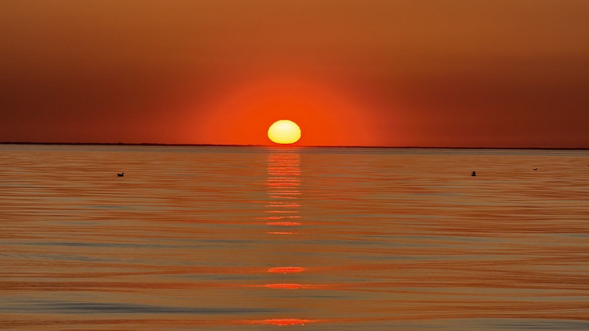 Coucher de soleil sur la mer
